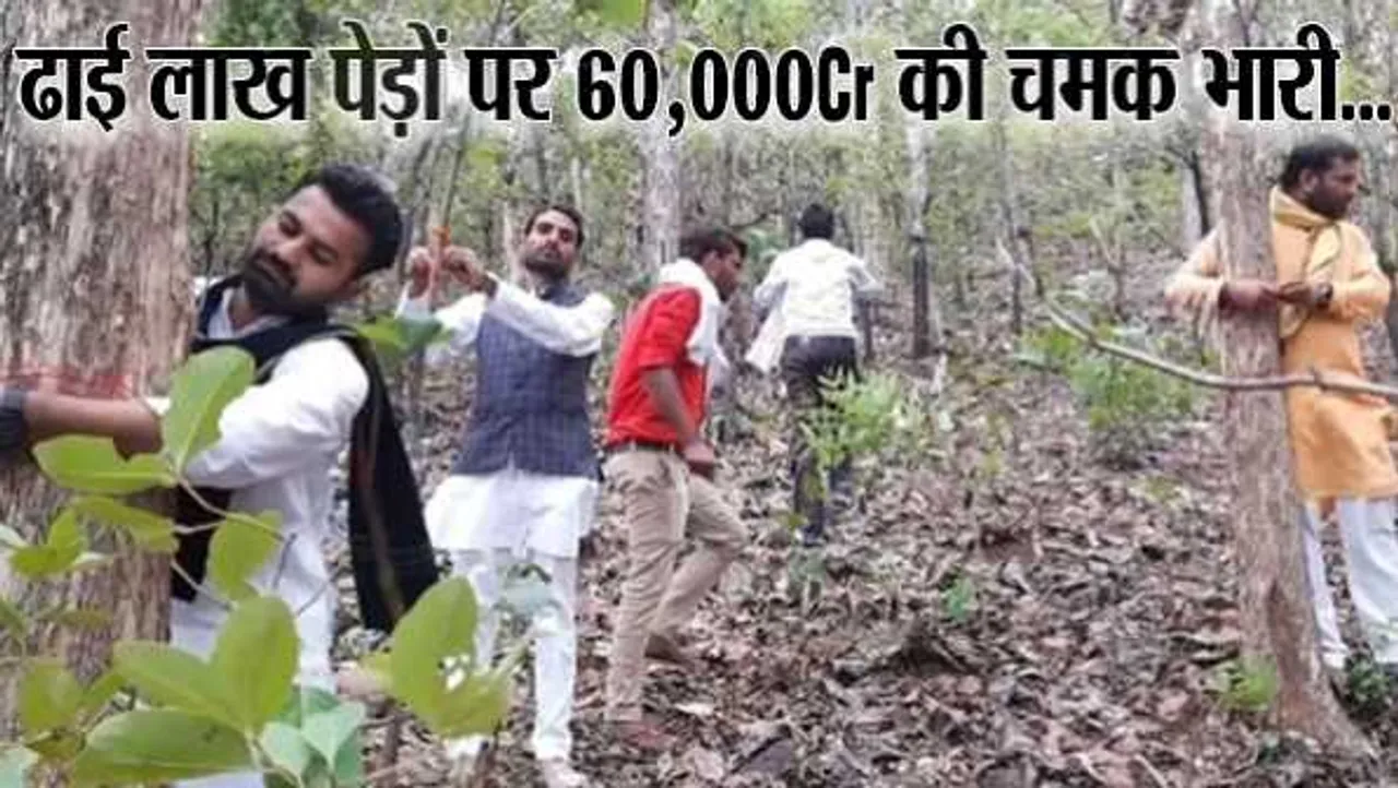 बक्सवाहा की आह: प्रोजेक्ट के लिए रिपोर्ट्स दबाईं, जानवरों-इतिहास को दरकिनार किया
