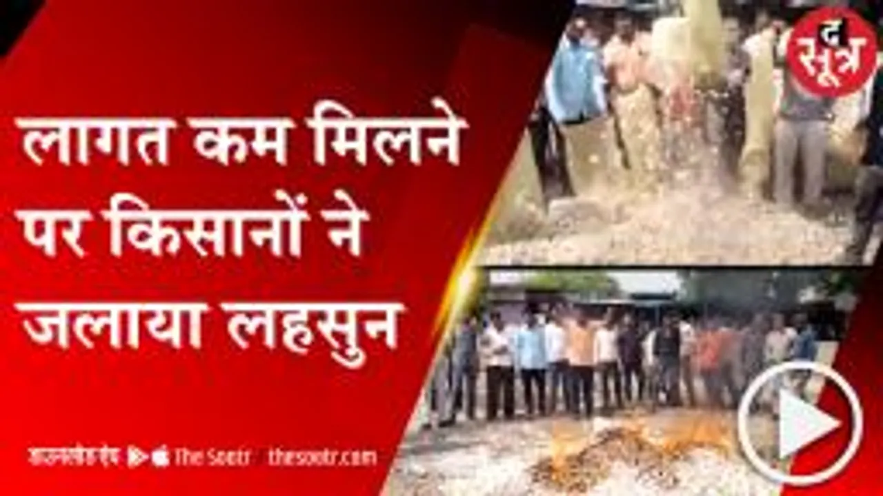 SEHORE: लागत ढाई हजार रूपए क्विंटल, 600 रूपए प्रति क्विंटल बिक रहा  || Garlic ||
