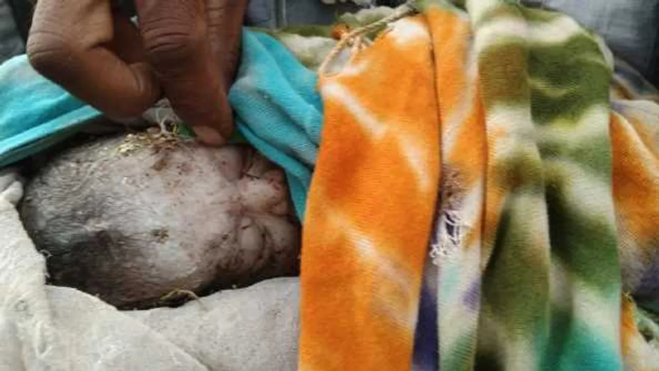 इंसानियत शर्मसार: दर्द से बिलखती नवजात को कचरे में फेंक, 10 डिग्री तापमान में ठिठुरती रही