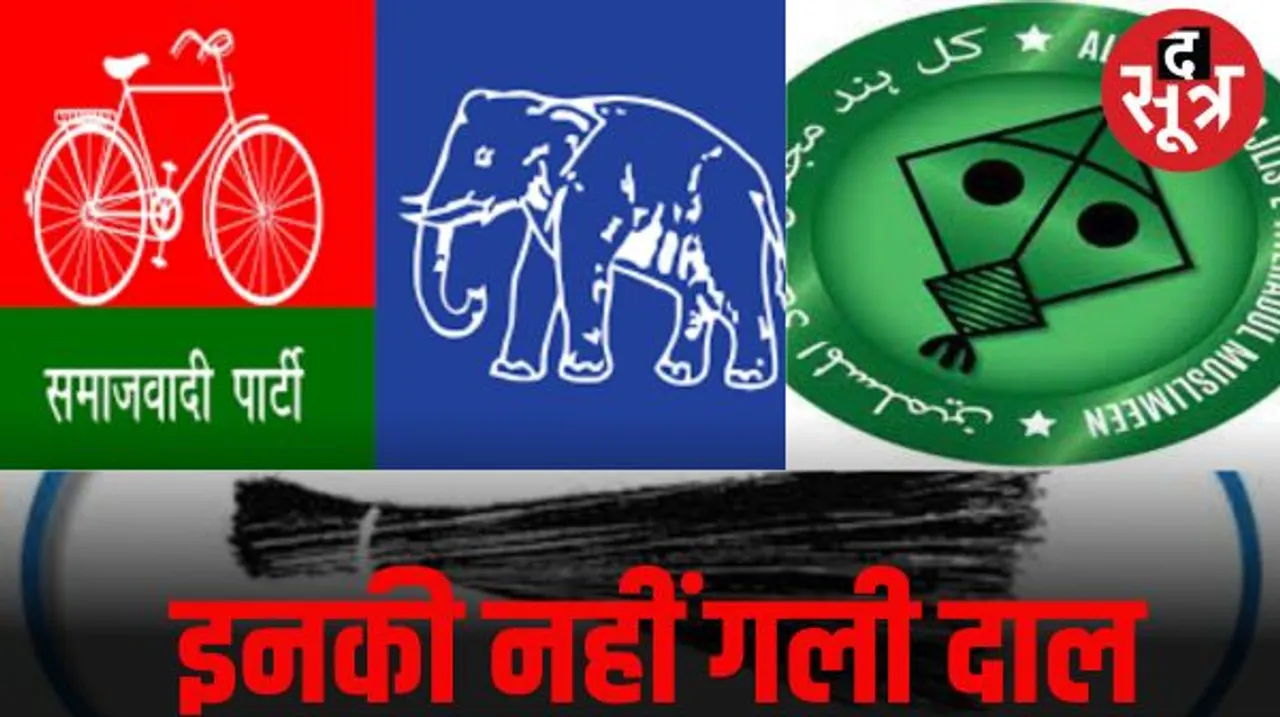 जबलपुर की सियासत से गायब हुए ''वोटकटवा'', किसी भी विधानसभा क्षेत्र में नहीं दिखा असर, एकतरफा जीत से खिली बीजेपी की बांछे