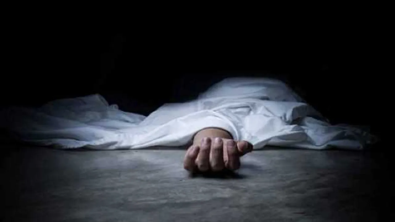 लापरवाही: शव पर लगी चींटियां देख परिवार ने मचाया कोहराम,तीन महीने से भर्ती था