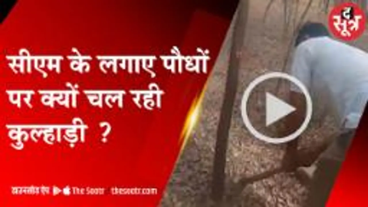 ग्वालियर: ग्राउंड के लिए नष्ट हो रहा इलाके का सबसे बड़ा ऑक्सीजन जोन! 