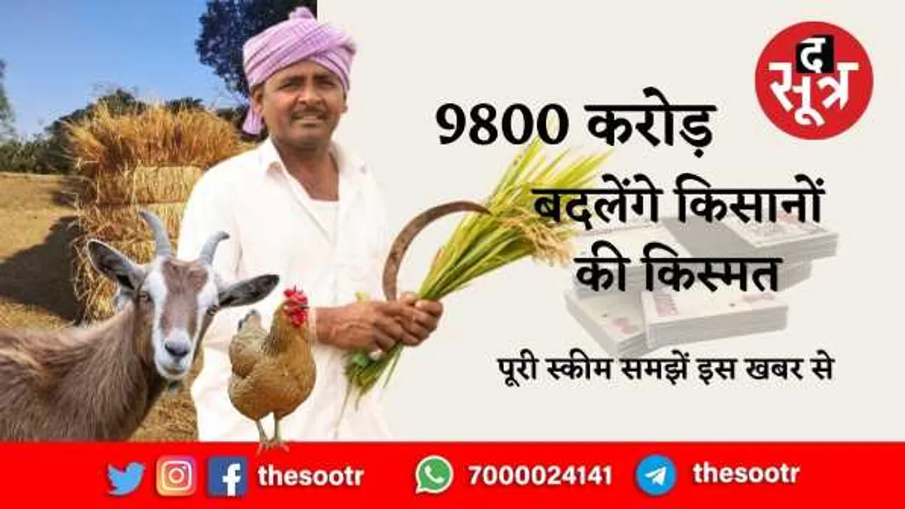 राष्ट्रीय पशुधन मिशन: 5 साल में 9800 करोड़ खर्च करेगी सरकार, जानें क्या है प्लान 


