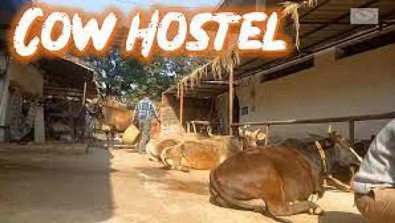 
सुविधा: घर में नहीं है जगह, तो इस Cow हॉस्टल में रखो अपनी गाय
