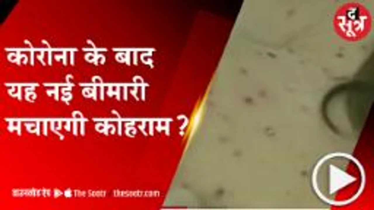 भोपाल: कई देशों में फैल चुके मंकी पॉक्स का एमपी में अलर्ट, मॉनिटरिंग शुरु 