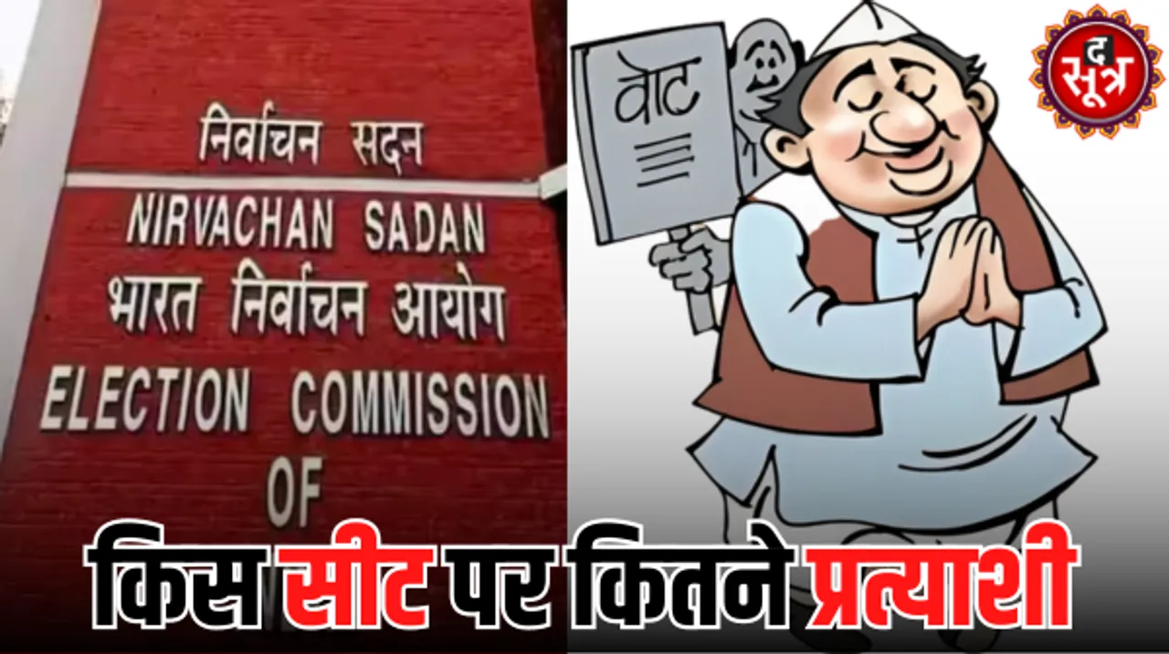 80 दल चुनावी मैदान में, बसपा ने 185 सीटों पर प्रत्याशी तैनात किए, आम आदमी ने 86, आरएलपी ने 78