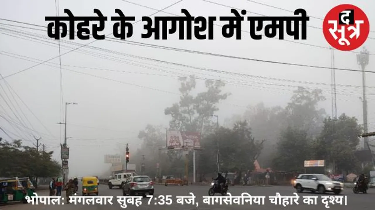 कोहरे के आगोश में एमपी, कड़ाके की ठंड, ग्वालियर-चंबल और बुंदेलखंड के शहरों में कोल्ड-डे