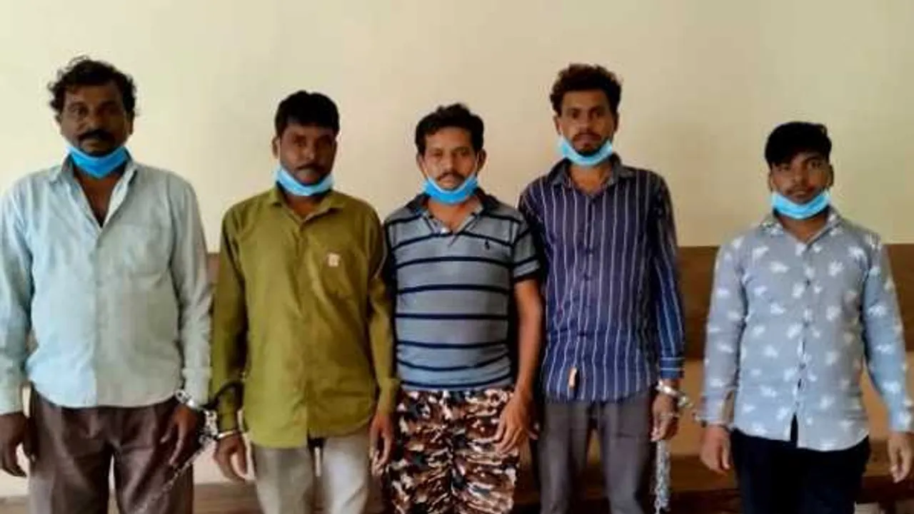 भोपाल STF टीम की बड़ी कार्रवाई: सिलवानी में पकड़ा 51 किलो गांजा, 5 आरोपी गिरफ्तार
