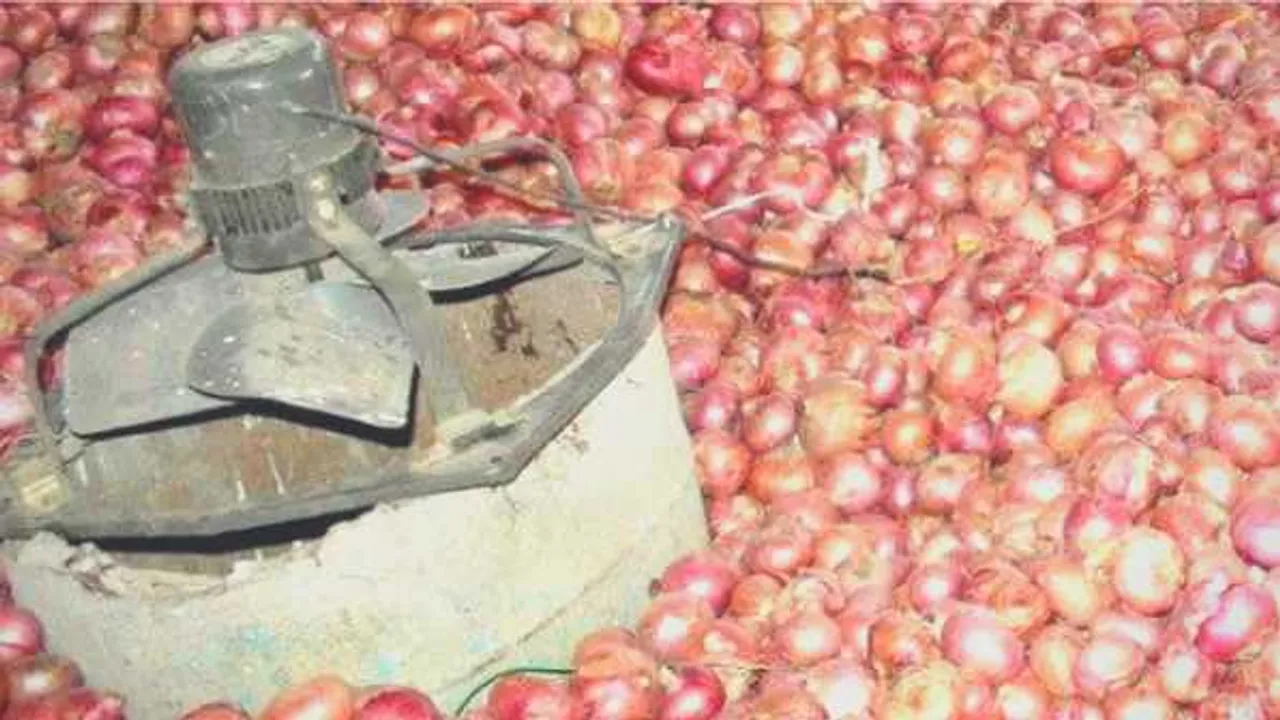 युवा लखपति किसान: 21 साल के रोहित देसी जुगाड़ कर बन गए लखपति, जानें तारीका
