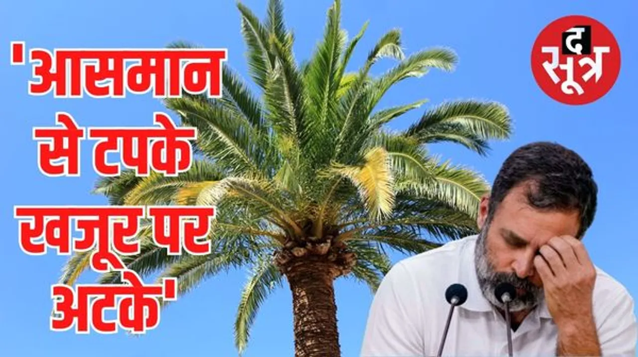 हाईकोर्ट ने चुनाव आयोग से कहा है कि वह राहुल गांधी के  मोदी पर जेबकतरे वाली टिप्पणी पर फैसला करे 