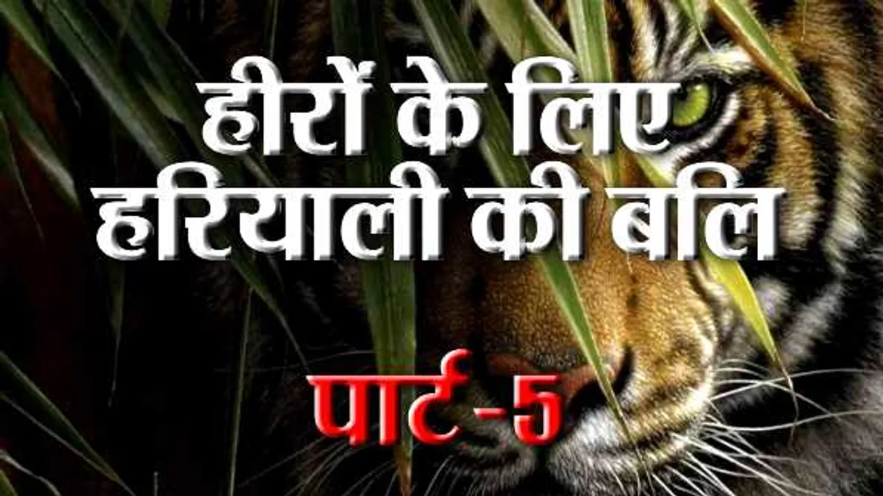 बक्सवाहा हीरा खदान: पानी ही नहीं, संकट की जद में बाघों के बसेरे भी आएंगे
