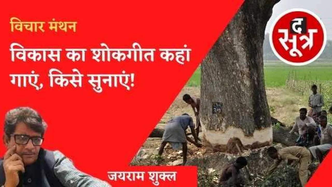 चौड़े होते रोड, ठूठ बनते दरख्त : विकास का शोकगीत कहां गाएं, किसे सुनाएं!