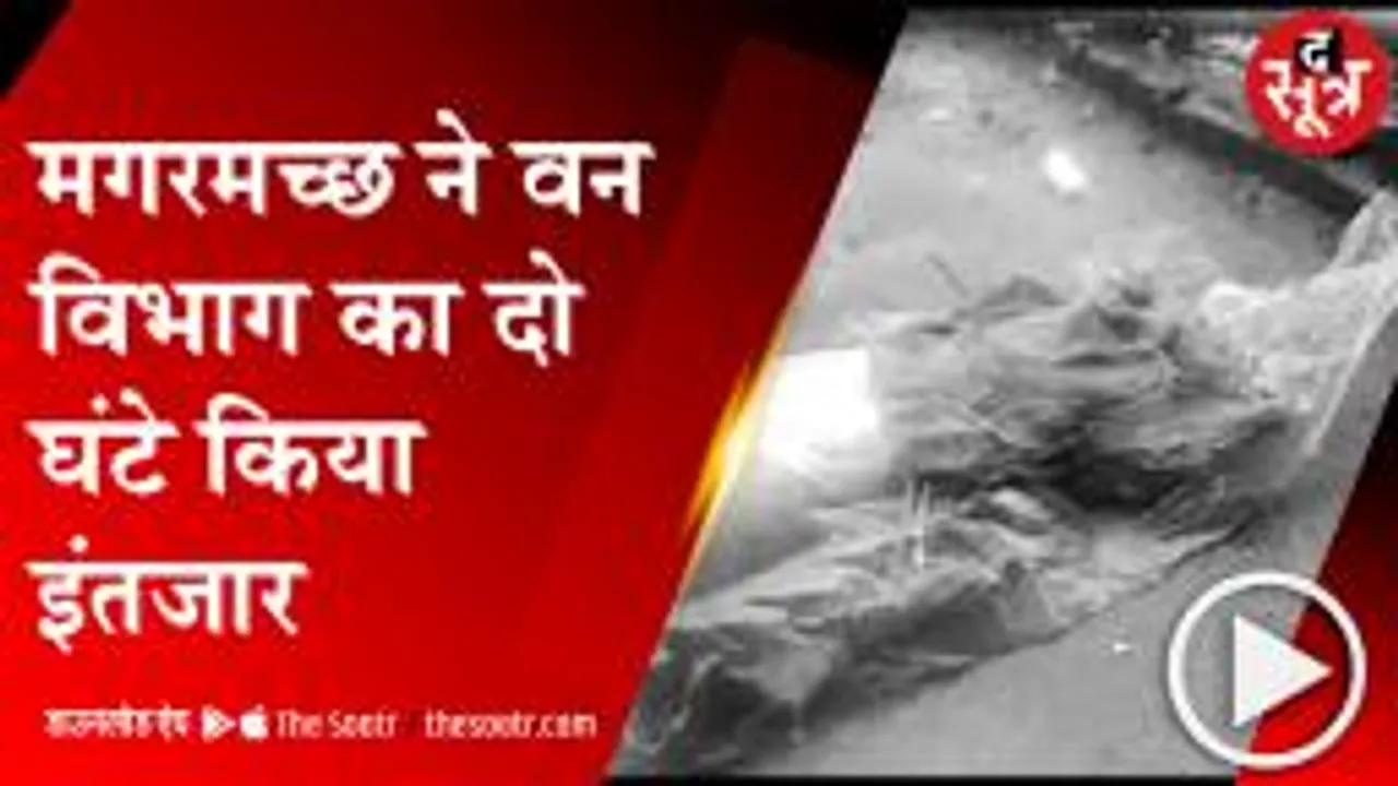 घर के बाहर पहुंचा मगरमच्छ, दो घंटे बाद पहुंची वन विभाग की टीम, जानिए कहां
