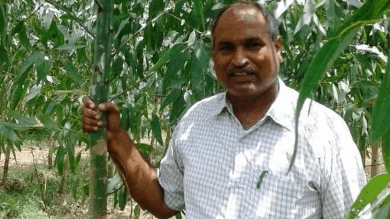 ट्री मैन : मिलिए यूपी के ट्री मैन से, 10 सालों में लगाए 2 लाख पौधे