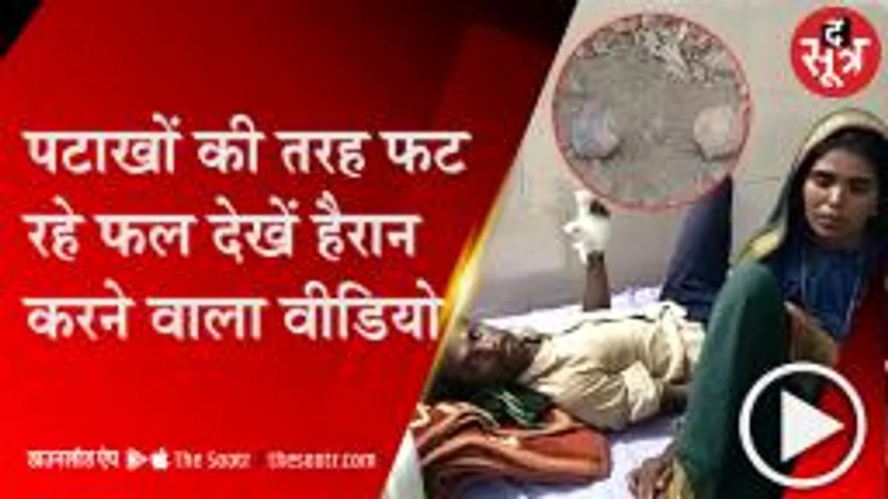 बड़वानी: जमीन पर फल फेंकते ही ब्लास्ट, खेत में काम कर रहे किसान की उंगलियां उड़ी