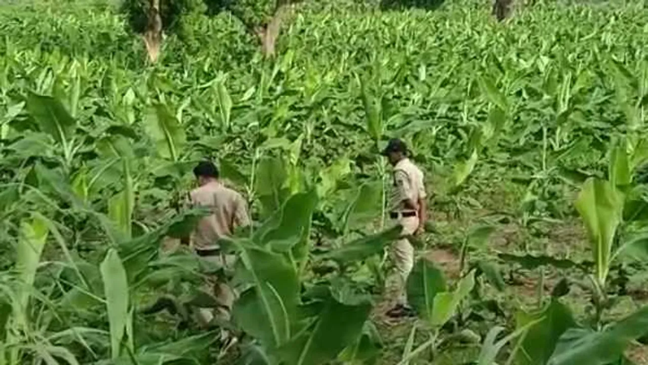 बुरहानपुर में फिल्मी लूट: 8-10 बदमाशों ने रास्ता ब्लॉक करके लूटा, पुलिस को भी बंधक बनाया
