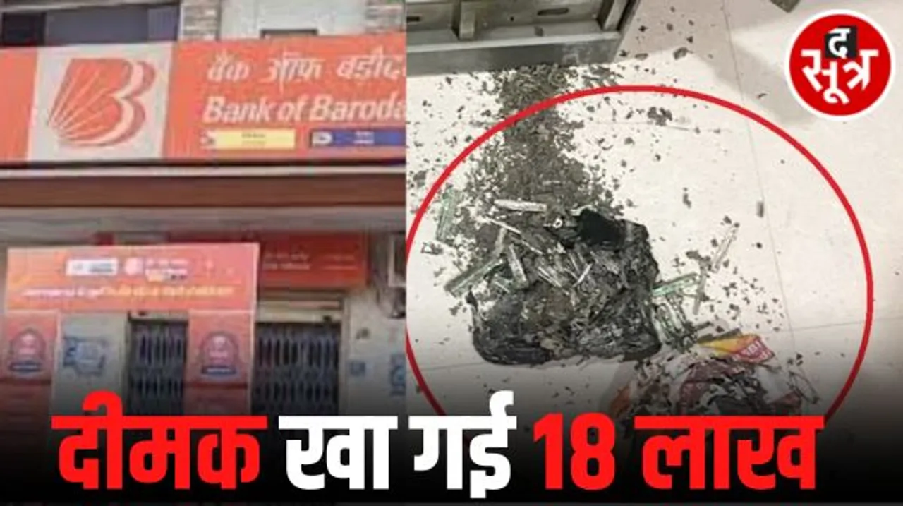 बैंक के लॉकर में जेवर के साथ रखे 18 लाख के नोट चट कर गई दीमक, बेटी की शादी के लिए सहेजकर रखे थे