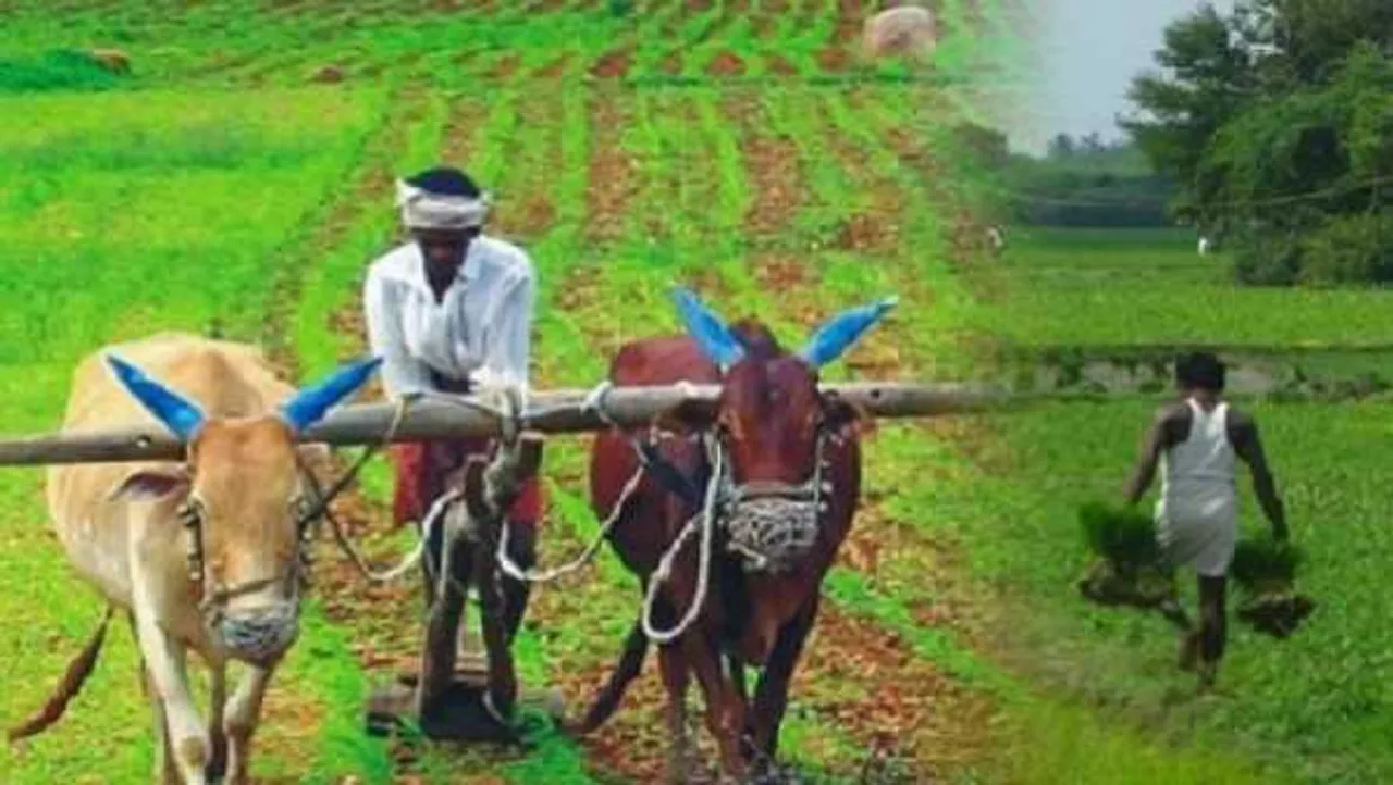 प्रधानमंत्री फसल बीमा: MP में बाढ़ के कारण 31 अगस्त तक बढ़ेगी रजिस्ट्रेशन की तारीख

