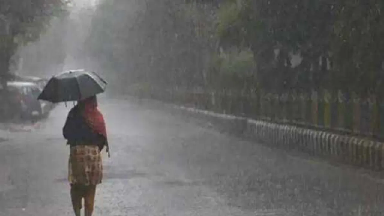 मॉनसून सक्रिय: 11 जिलों में हल्की, मध्यम बारिश की संभावना, 16 जिलों की स्थिति चिंताजनक
