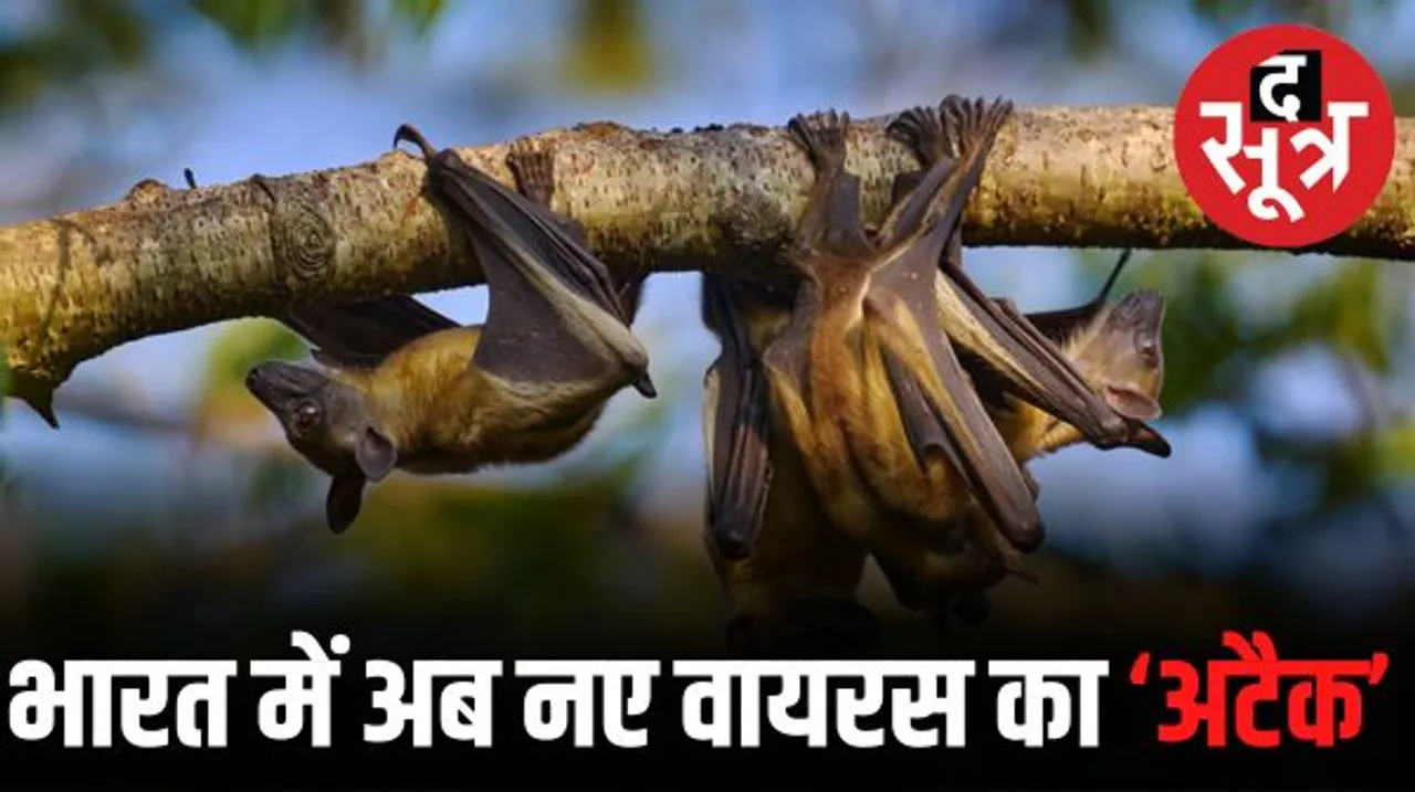 निपाह वायरस की भारत में बढ़ते मामलों ने बढ़ाई चिंता, केरल में अलर्ट जारी, अब तक दो लोगों की मौत, जानें कैसे होता है यह संक्रमण