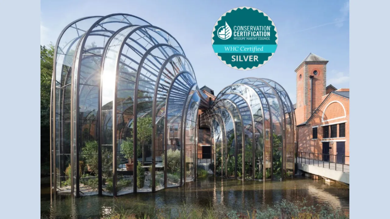 Bacardi being honoured for habitat conservation