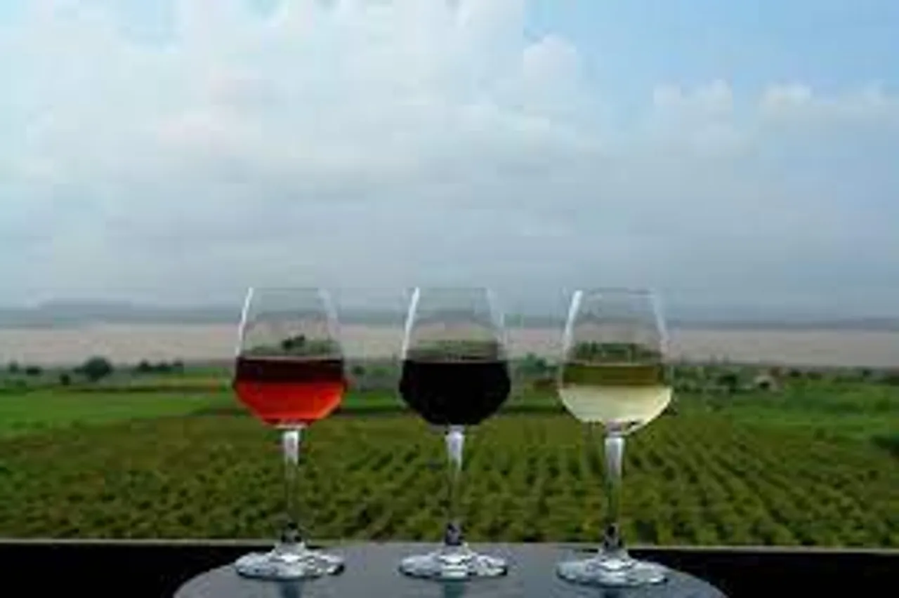 Another proposal for a winery in UP