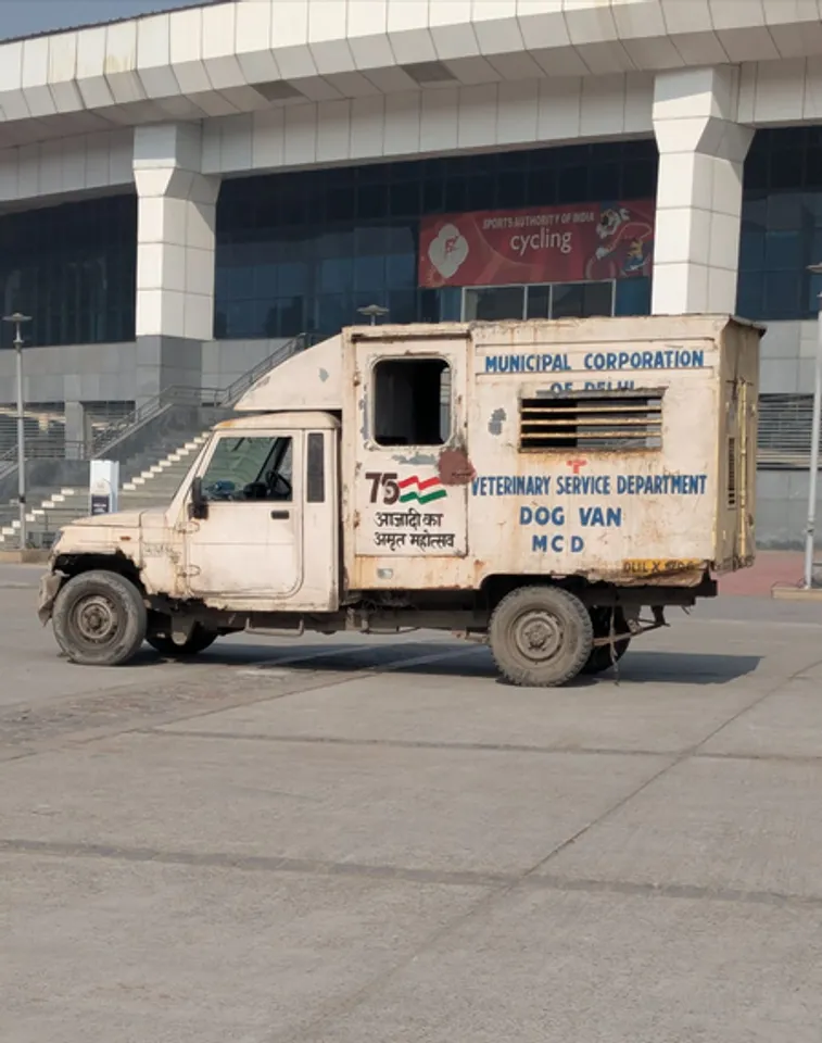 BWF India Open: After monkeys, stray dogs spotted at IG Sports Complex; dog van stationed at venue