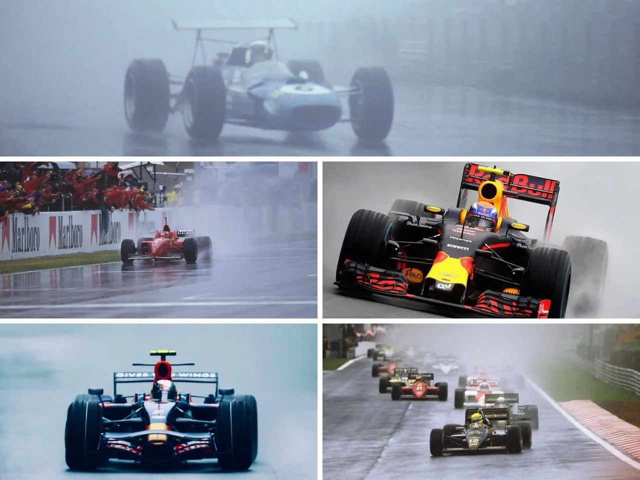 Top rain wins