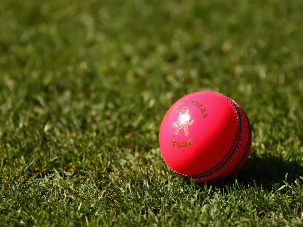 Pink Ball
