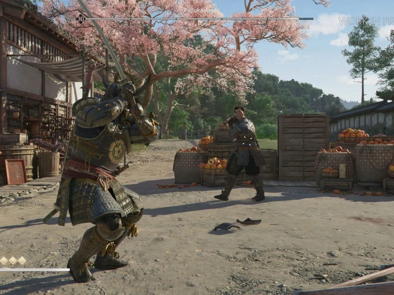 Assassin's Creed Shadows combat