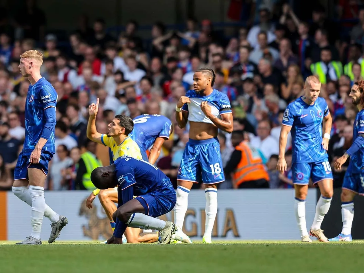 imgpsh_fullsize_anim (1)