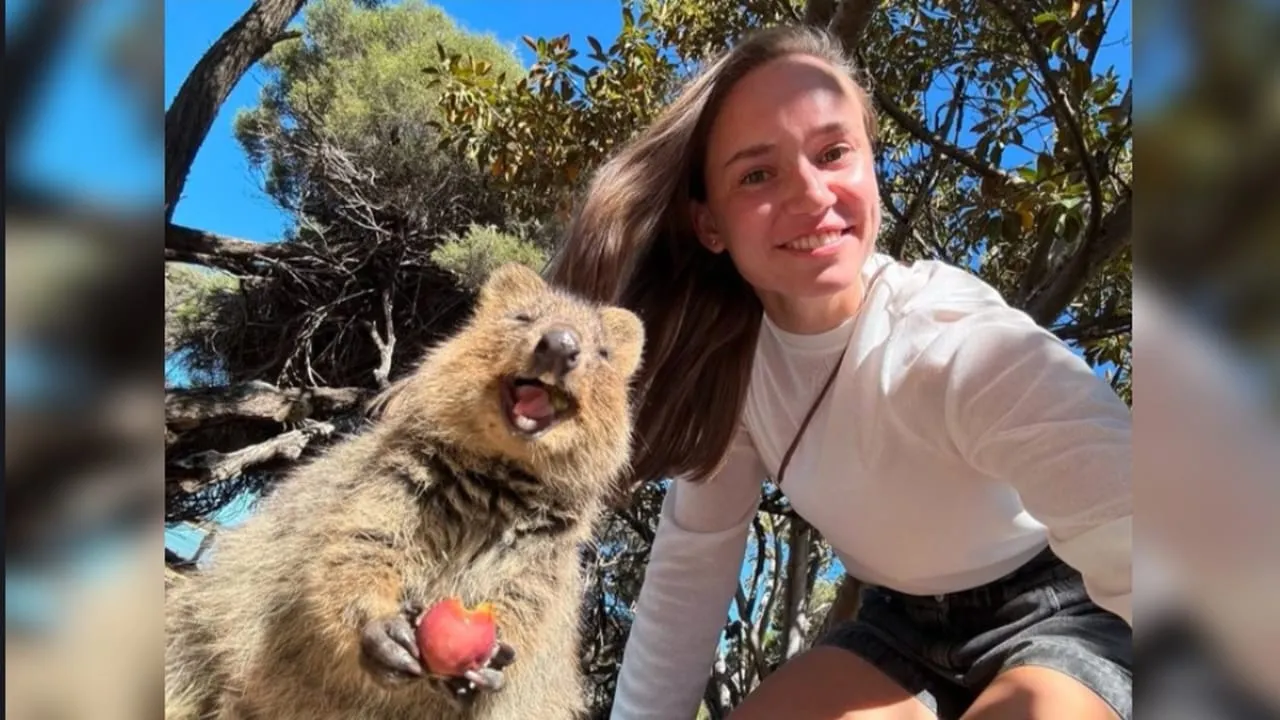  Elena Rybakina turns into a wildlife whisperer