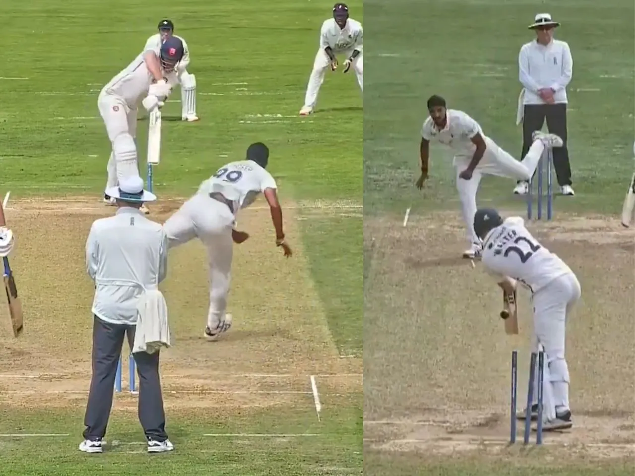 Chl b - 2025-01-08T114209.002