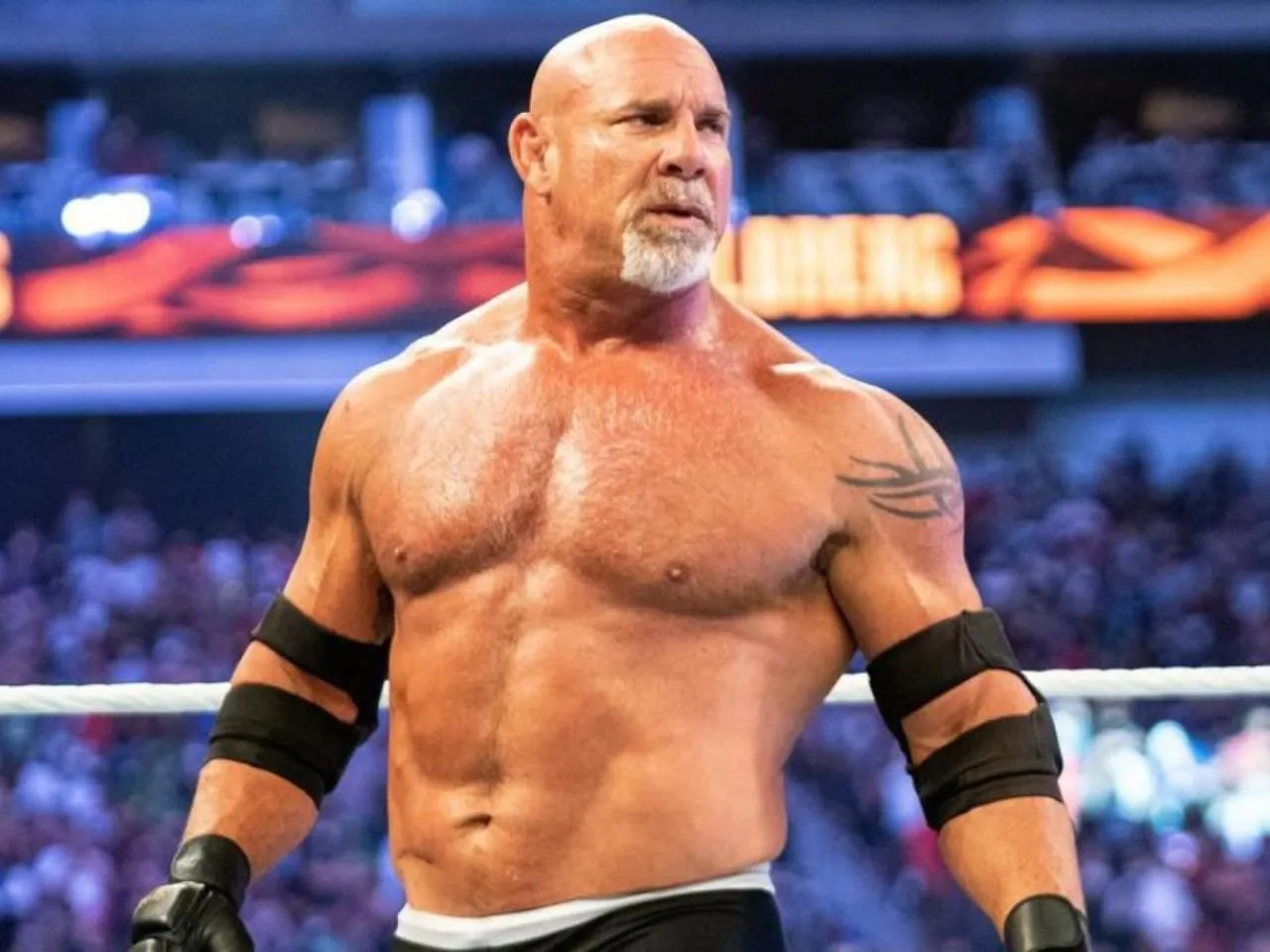 goldberg