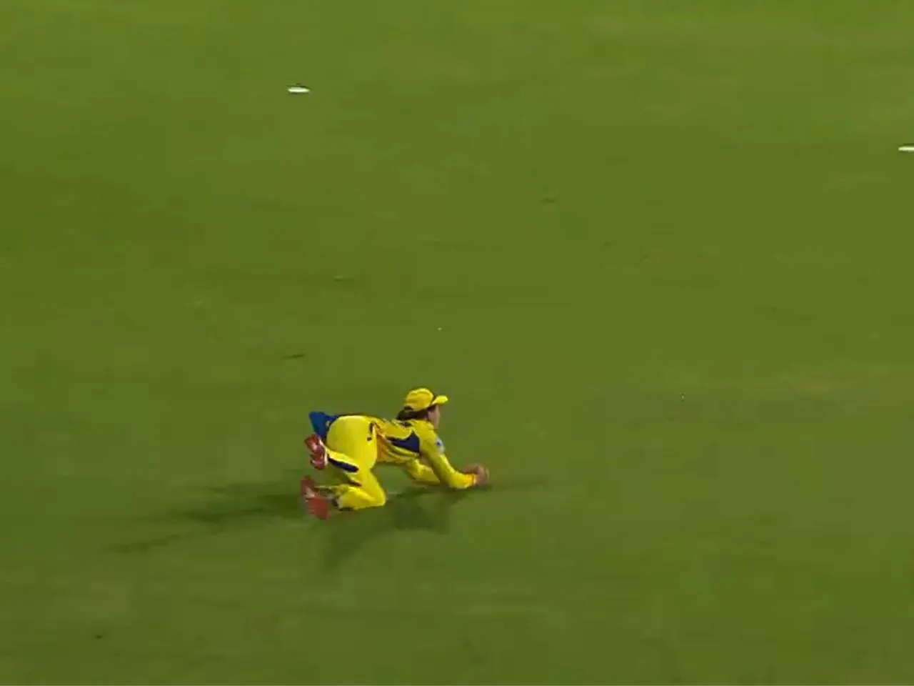 RCB vs CSK: Dewald Brevis catch of Jacob Bethell