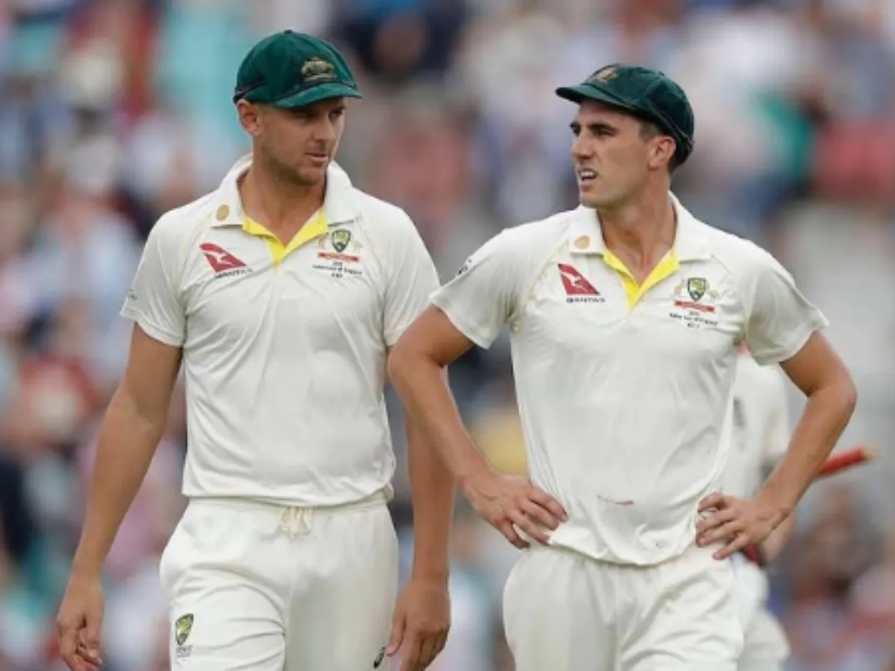 Pat Cummins and Josh Hazlewood 
