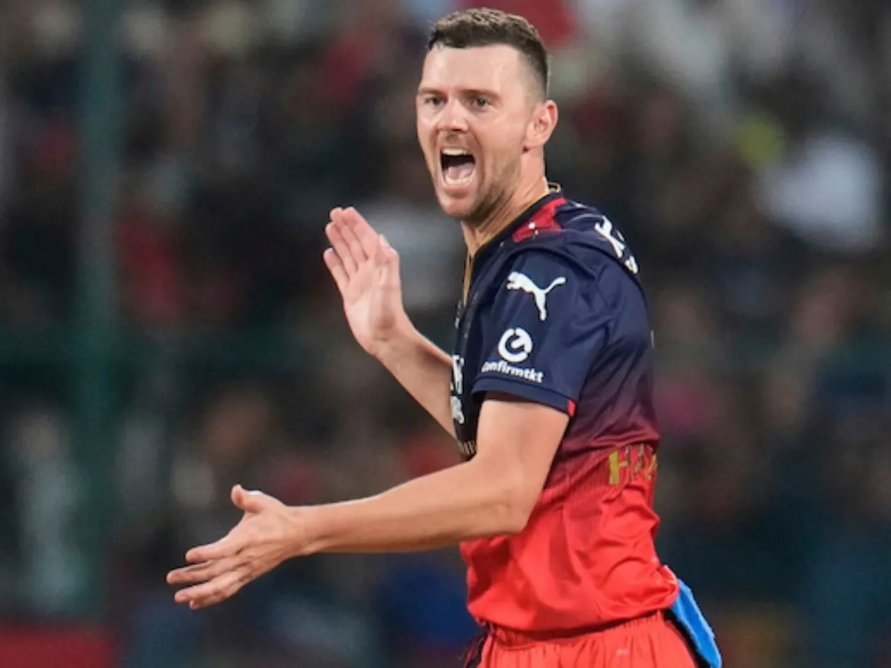 Josh Hazlewood 