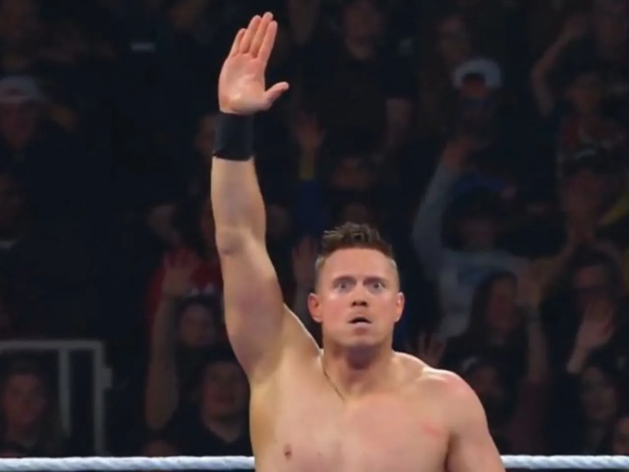 Untitled design (18)