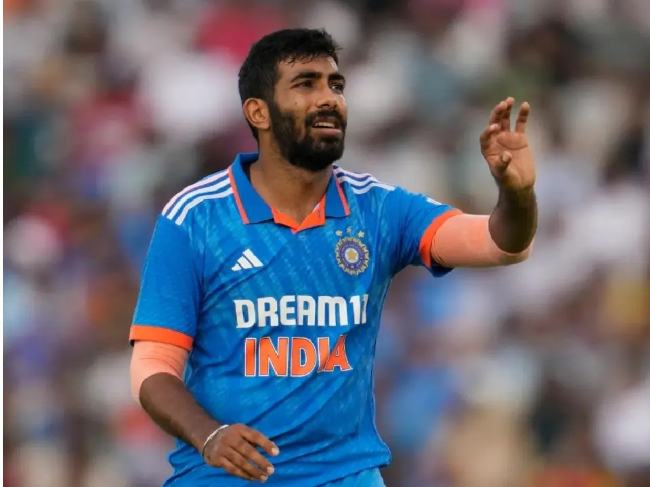 Untitled design (14)