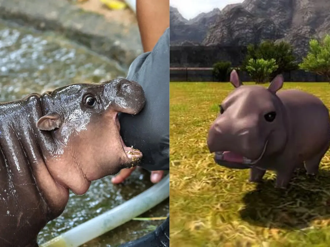 Moo Deng in Final Fantasy 14