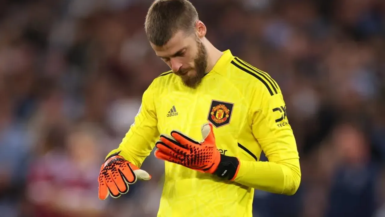 David de Gea Manchester United