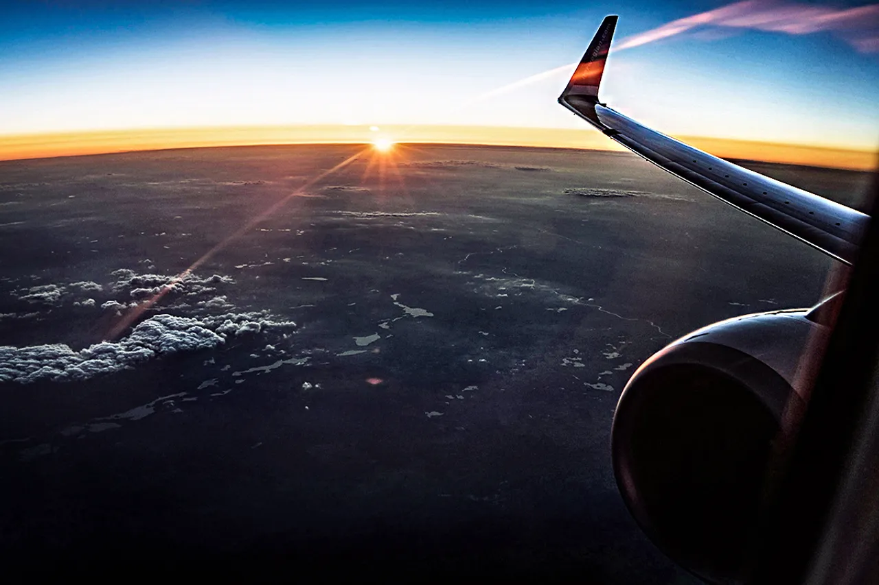 plane wing