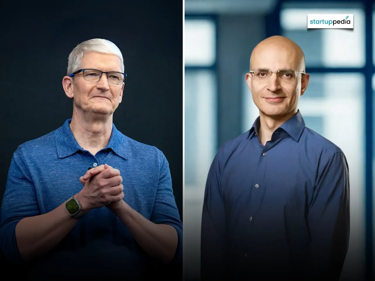 tim cook web