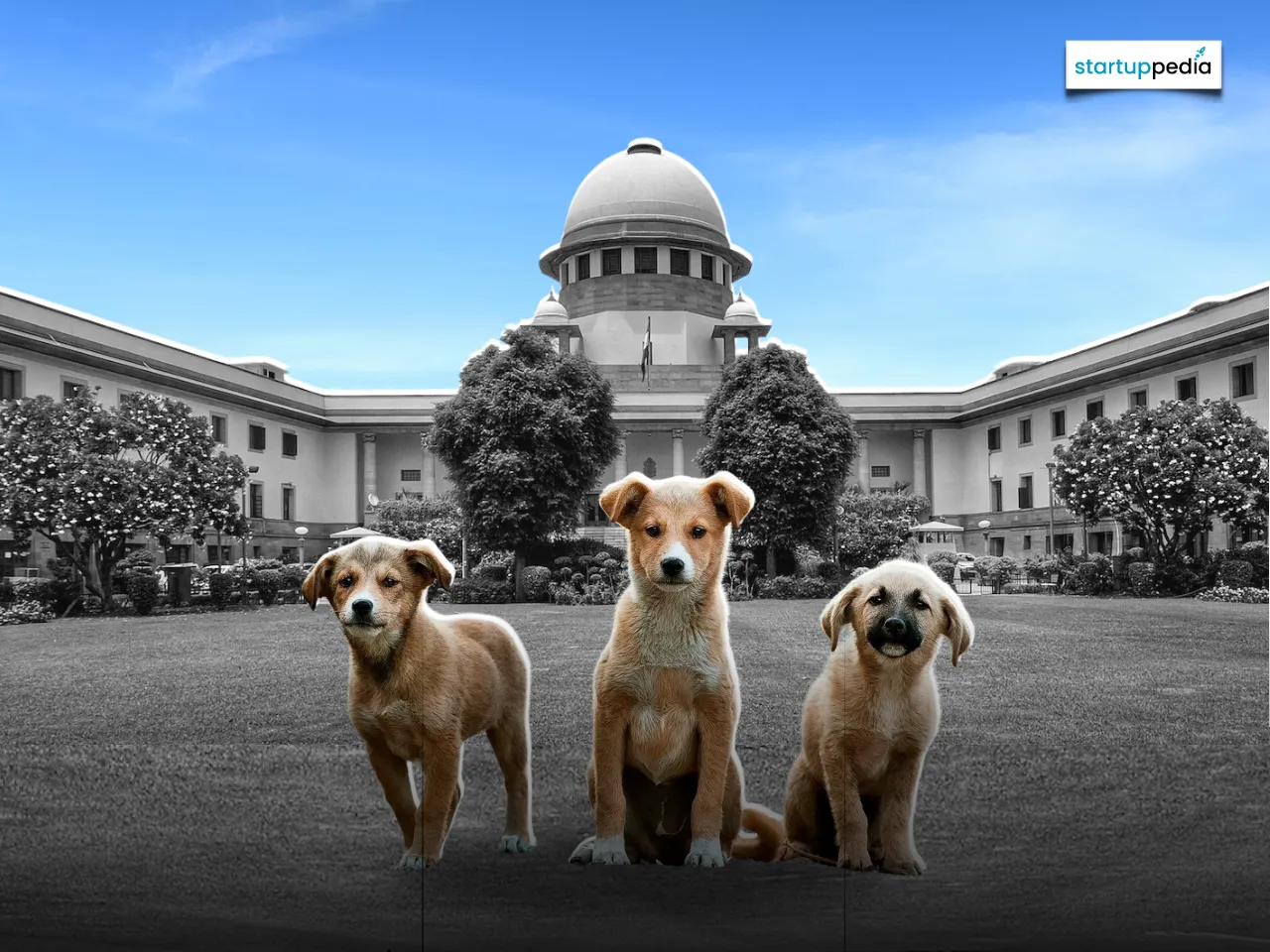 supreme court web
