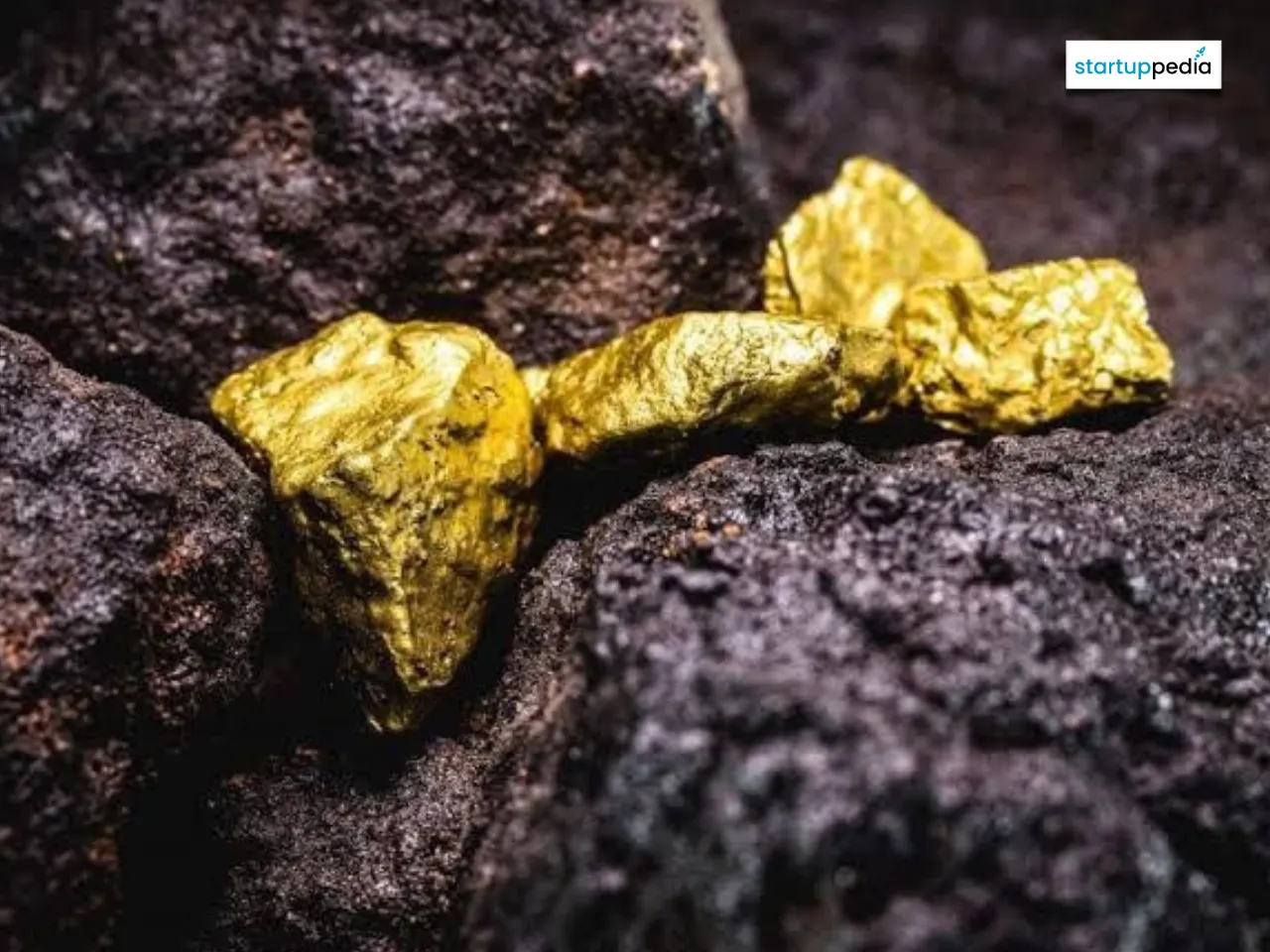 private gold mine