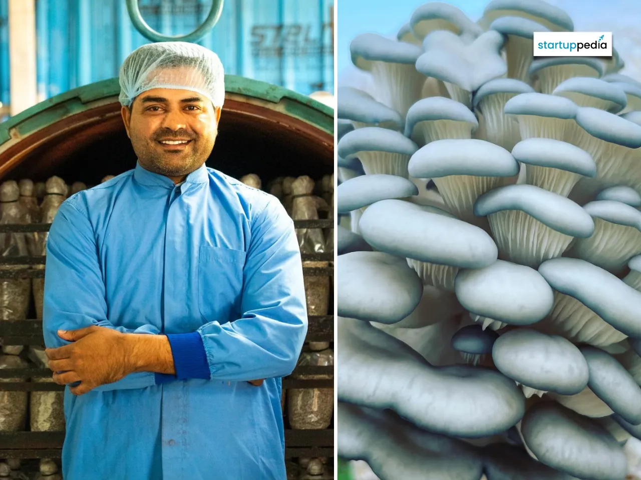 Shankar Meena, an MBA dropout, founded Jeevan Mushroom, India's first commercial mushroom spawn lab in Rajasthan