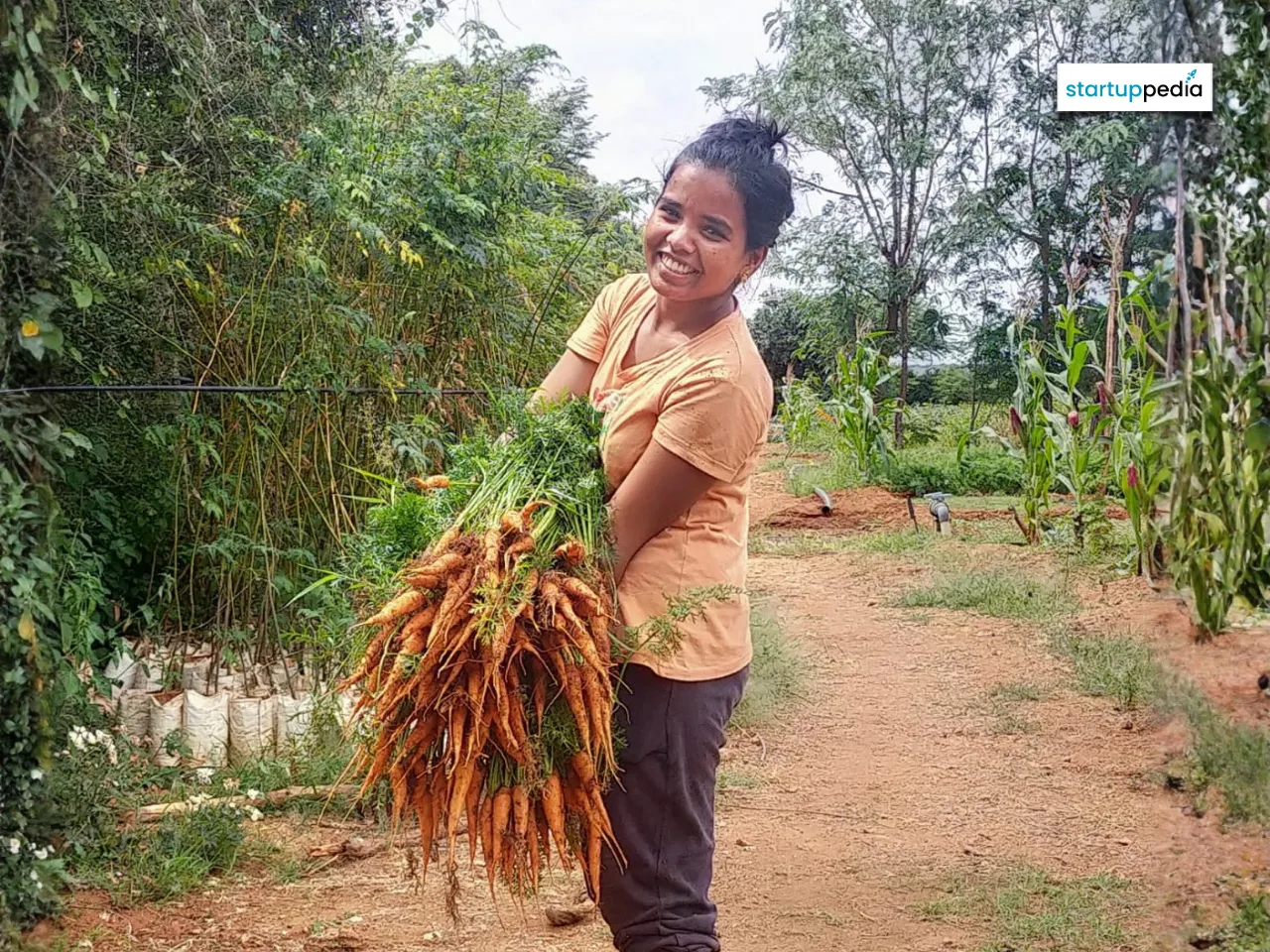 Copy of website (1110 x 960 px) (3) (1)