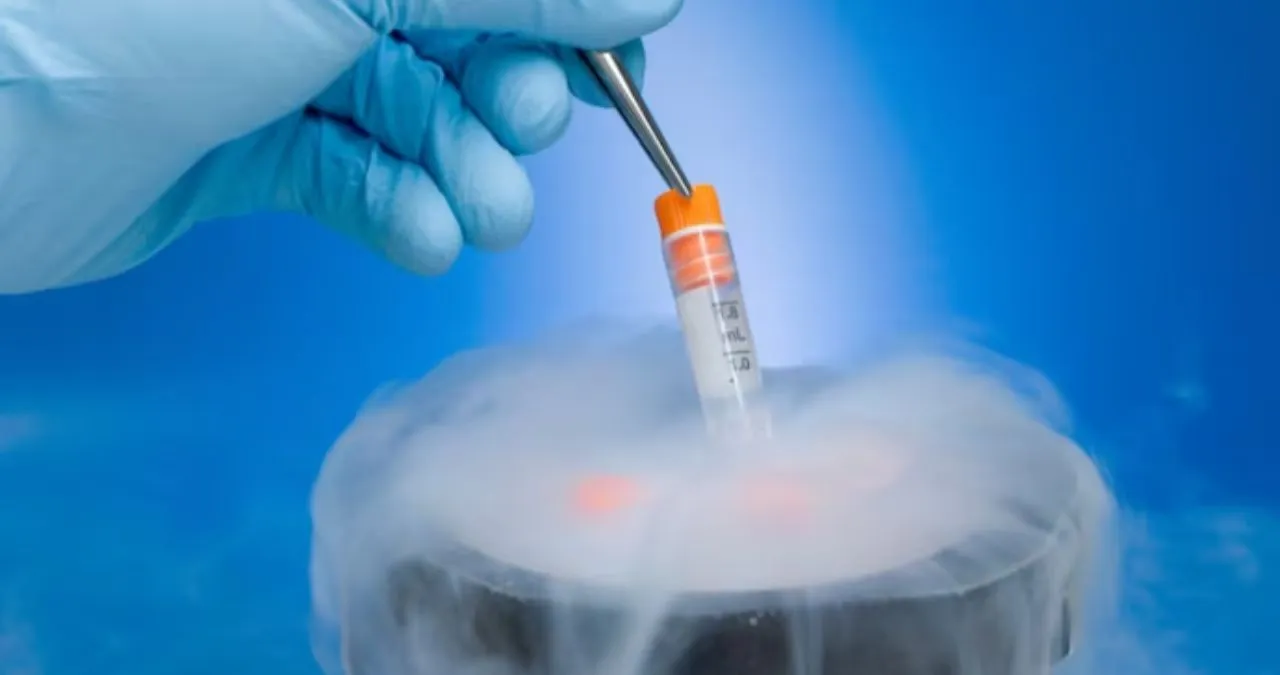 freezing eggs.jpg