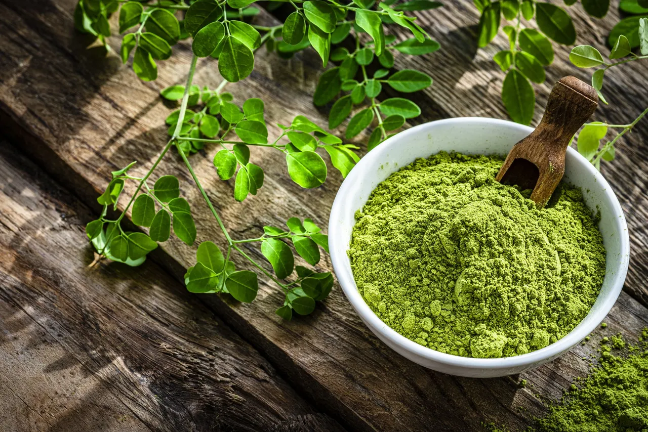 moringa powder