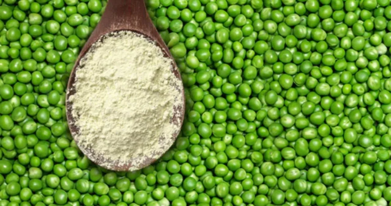 pea protein.jpg